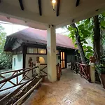 Treehouse Loft In Prime Location