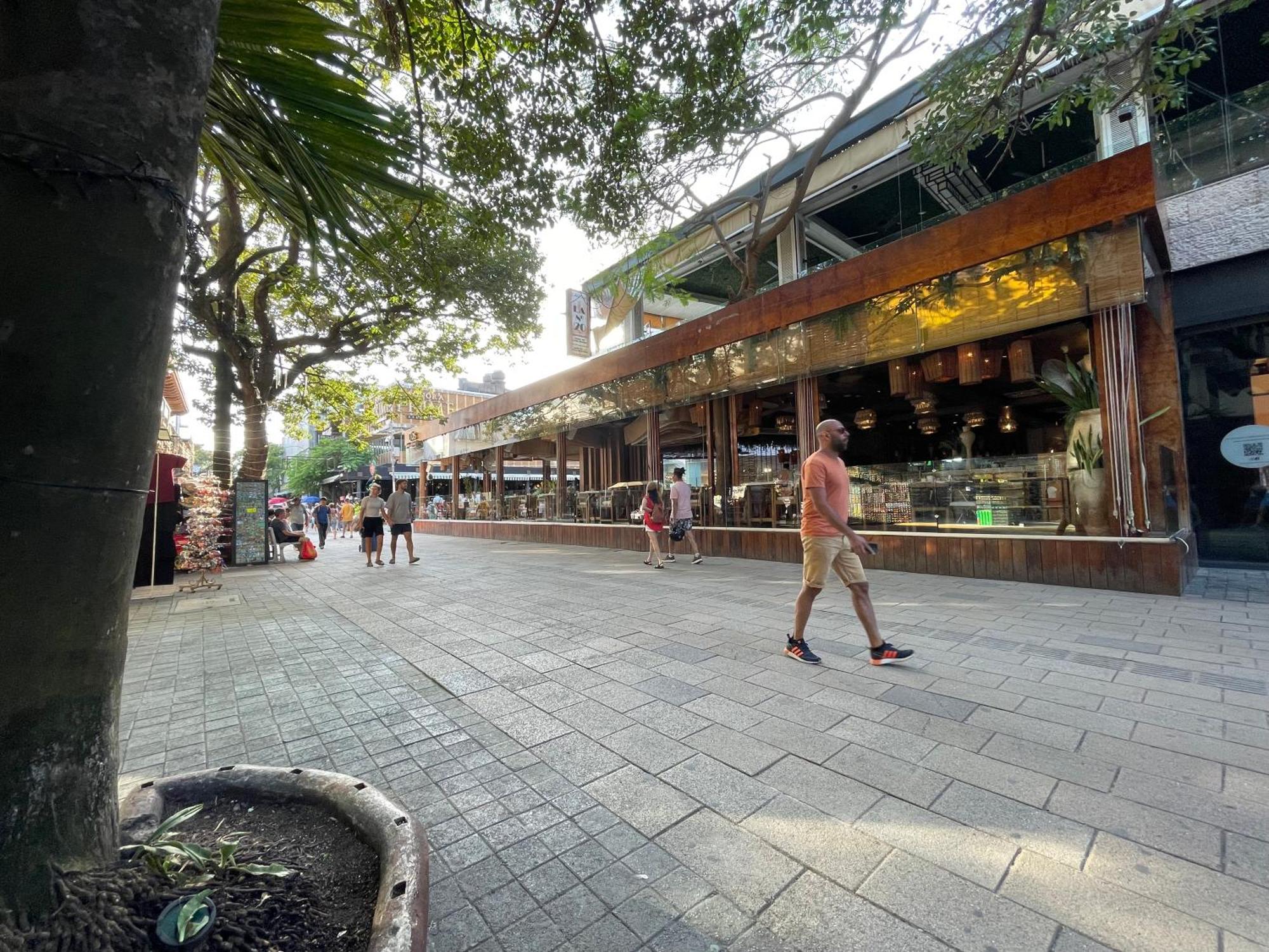 Treehouse Loft In Prime Location Apartamento Playa del Carmen